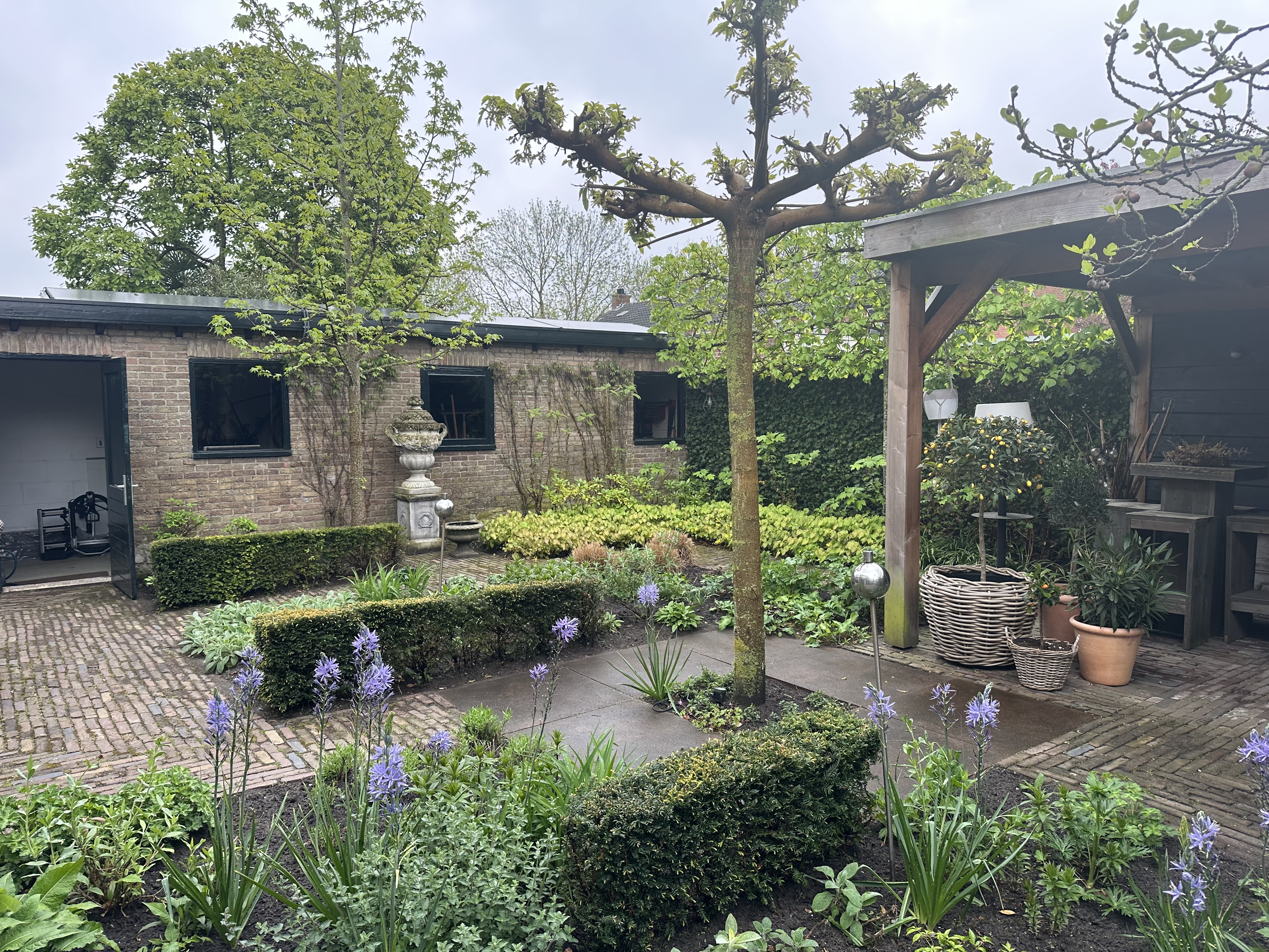 Klassieke Siertuin met Leibomen en Taxus, taxusvormen en kasseienpad
